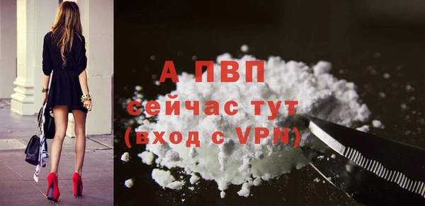 прущий лед Михайлов