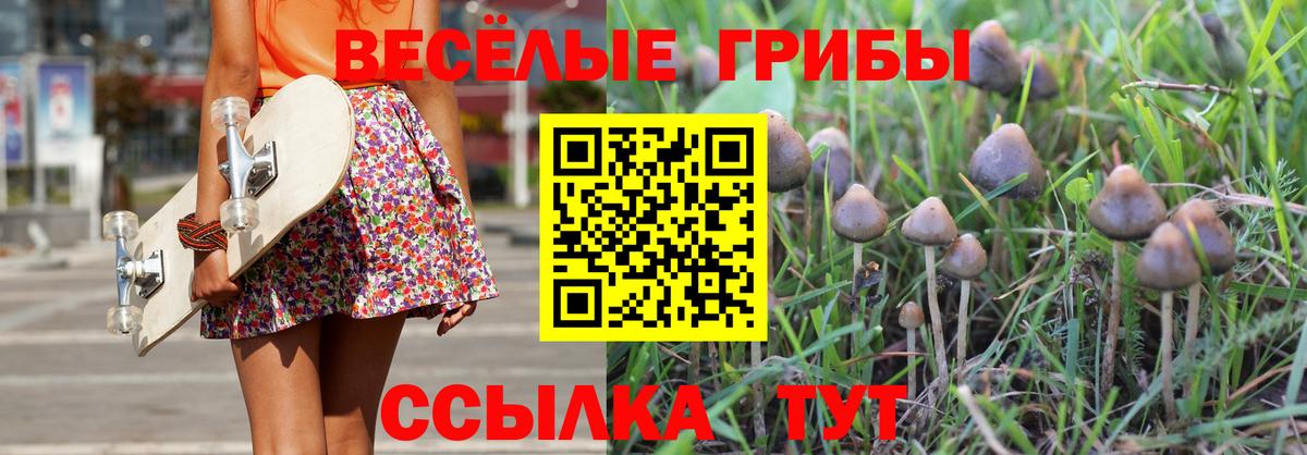 Галлюциногенные грибы ЛСД Александров