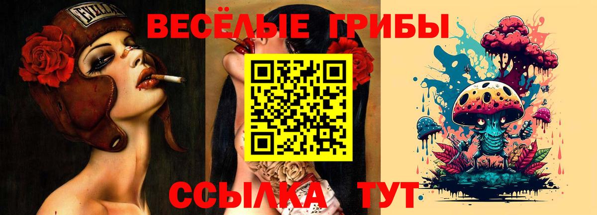 Псилоцибиновые грибы Magic Shrooms  цены   Псилоцибиновые грибы Cubensis  Александров 