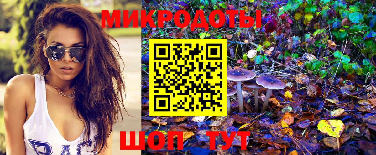 Галлюциногенные грибы GOLDEN TEACHER  Псилоцибиновые грибы Psilocybe  Вход с VPN  цена наркотик  Александров 