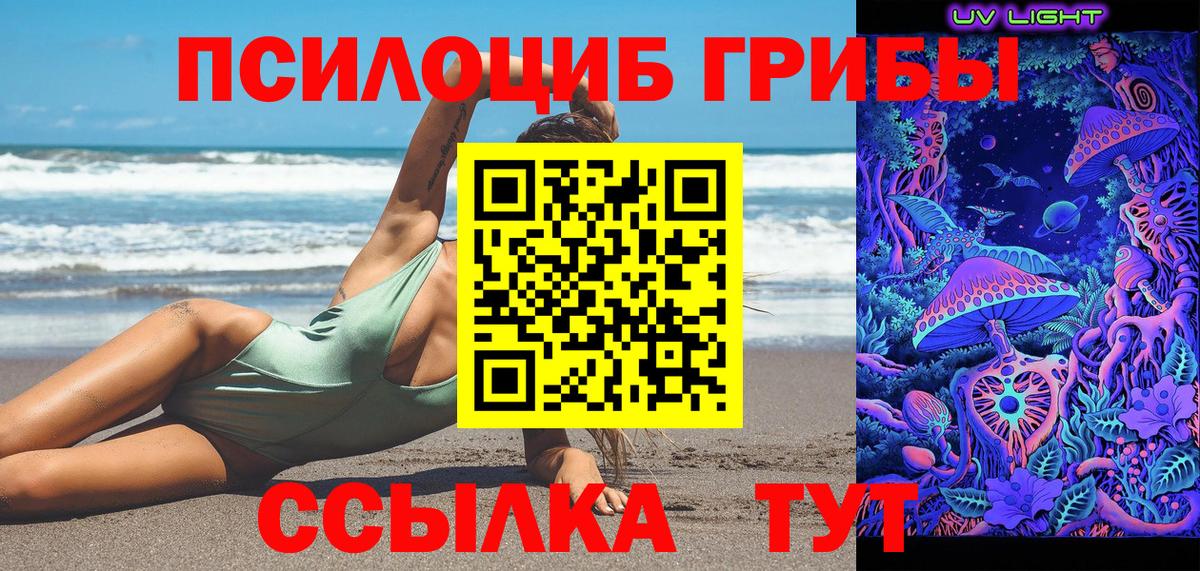 Псилоцибиновые грибы Psilocybe Александров